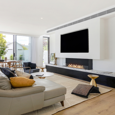 Flex Fireplace Inserts